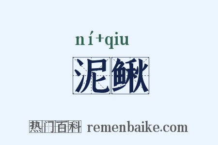 泥鳅是什么意思的图片